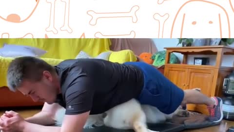 Funny Dog Does Exercise With Hooman