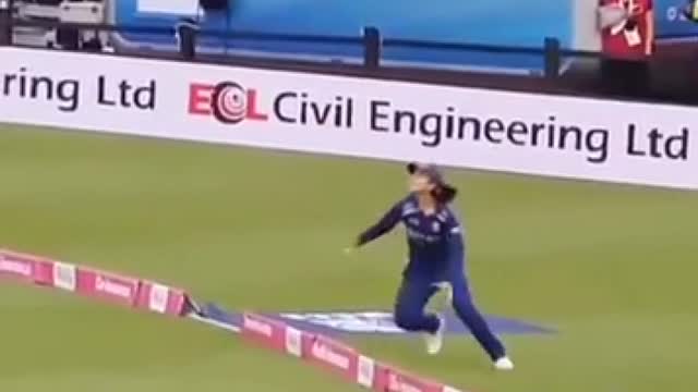 Amazing cricket