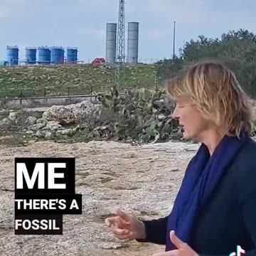 🇵🇸🇮🇱 Israel stealing oil from Palestinian land (February)