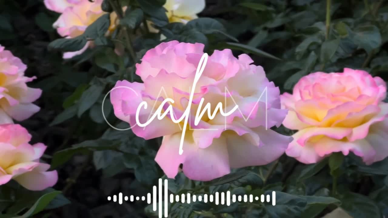 I can make you calm with a Relaxing music