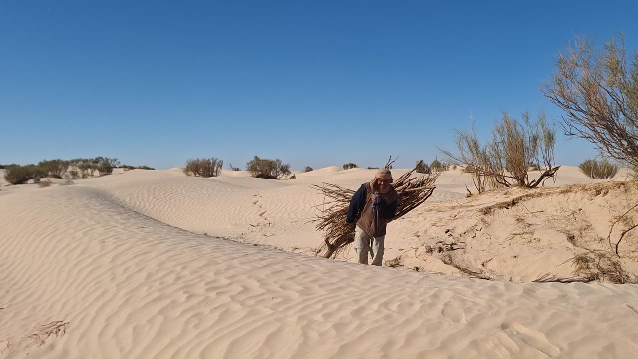 Musbah collecting wood