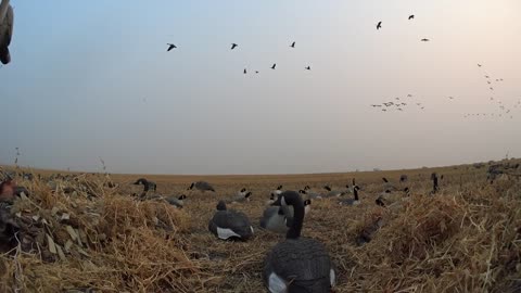 Waterfowl Season Opener