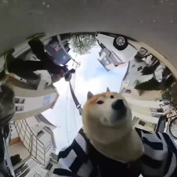 I love the little guy 😍😍😍