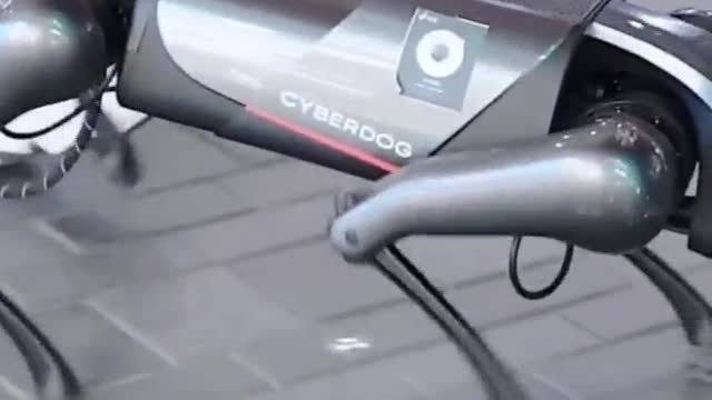 Robot Dog 🐕