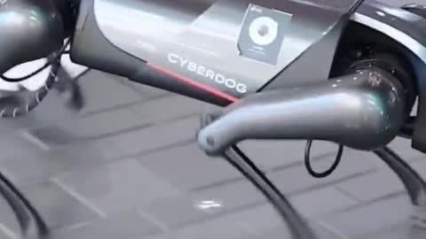 Robot Dog 🐕