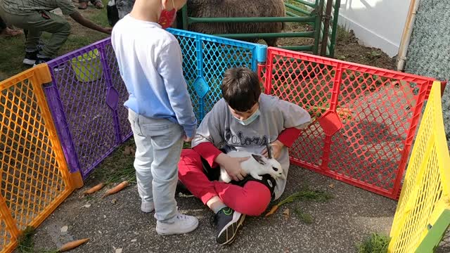 Spencer petting bunnies at fall festival - VID_20201010_102855