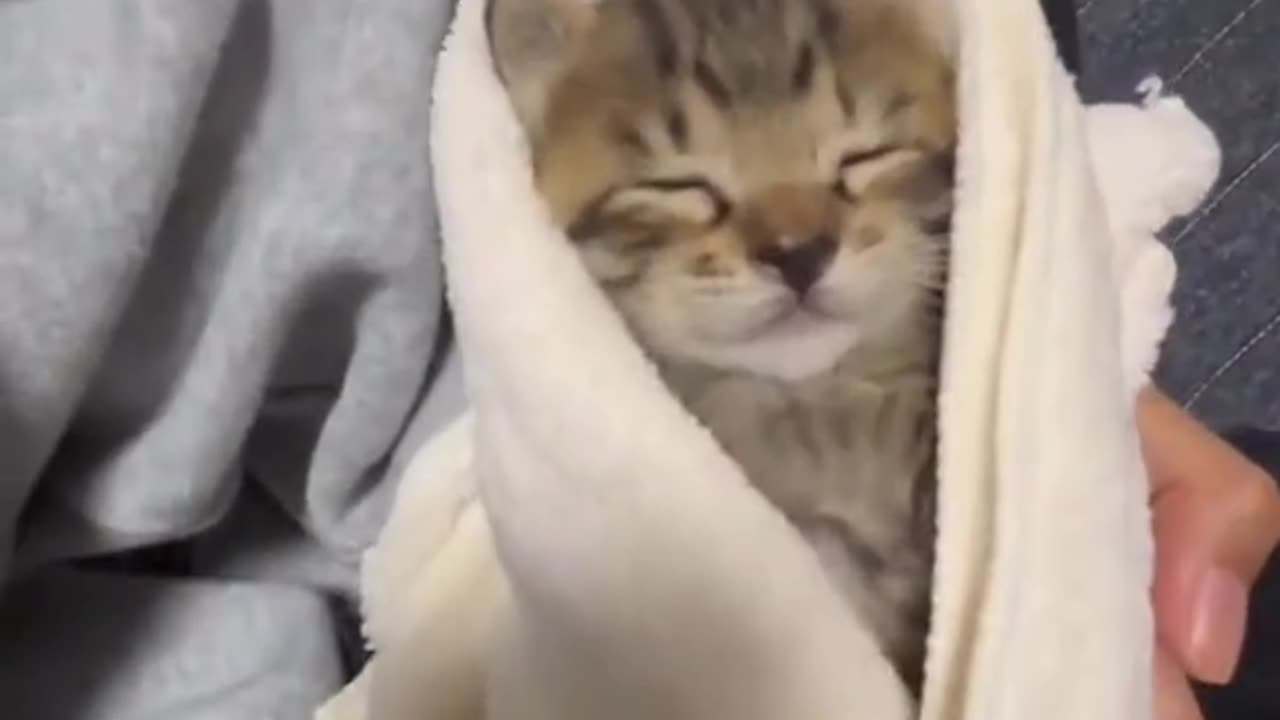 Is bro all snug??