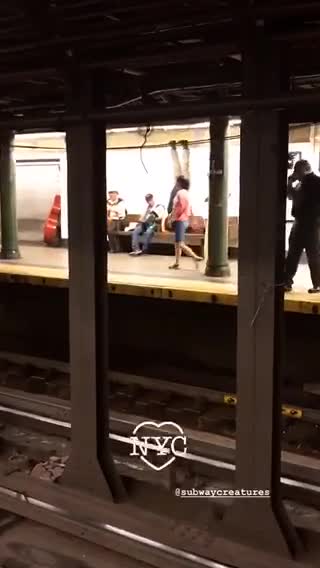 Guy upside down handstand subway bench black shirt khaki pants