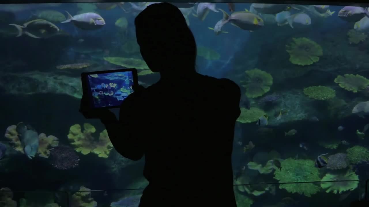 Young woman in Bangkok, Thailand at the oceanarium of Siam Ocean World