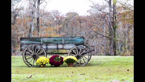 Autumn 2020 in Eastern North Carolina