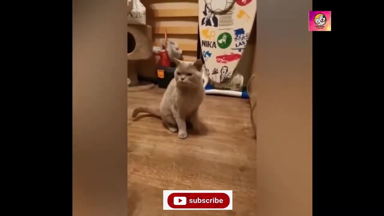 Funny Animals Reacting to Food