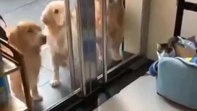 Tres Cabezas piensan mejor que Una , En la Unión esta la Fuerza