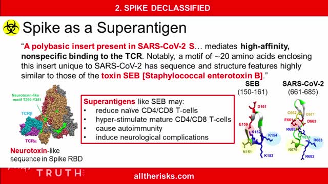 Spike as a Superantigen #AllTheRisks