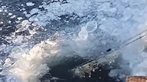 Amazing rattling Fishing on Ice