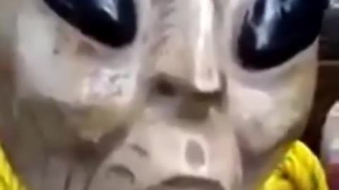 Artifact found with Alien drawings