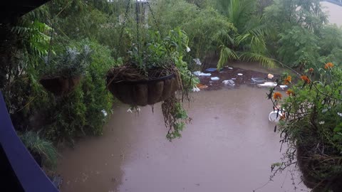 It kept rising Coraki flood 28th Feb 22