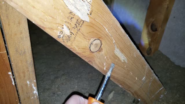 Finding Termites in an Arizona Attic