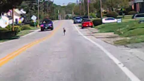 When A Man Spotted This Small Child Standing On A Busy Road