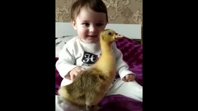 baby and cute baby