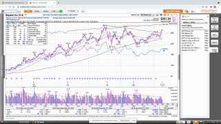 Dallas Trading Floor No 342 - July 26, 2021