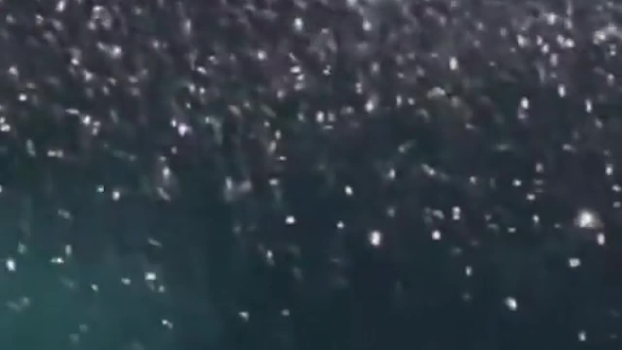 What happened to the falling people at this Lana Del Ray concert??