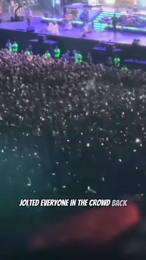 What happened to the falling people at this Lana Del Ray concert??