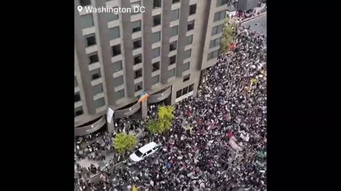 Thousands Protest in DC Supporting Palestinians