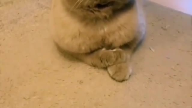 Do not look at me