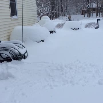 Teen Falls Face First Into the Snow In Failed Polar Bear Plunge