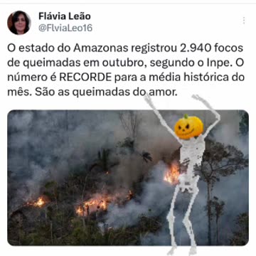 The state of Amazonas registered 2,940 fires in October, according to INPE. The number is a RECORD for the historical average for the month. They are the burnings of love.