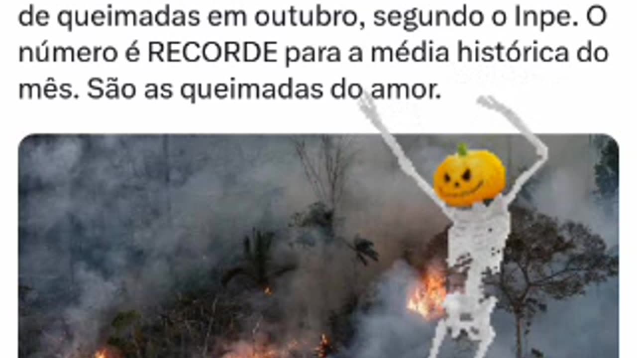 The state of Amazonas registered 2,940 fires in October, according to INPE. The number is a RECORD for the historical average for the month. They are the burnings of love.