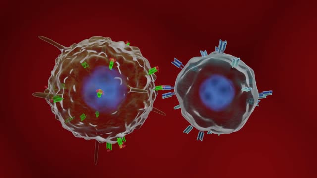 How does COVID-19 vaccines work? Animated explainer with english speak