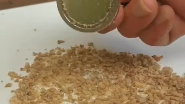 MAGNETIC CEREAL