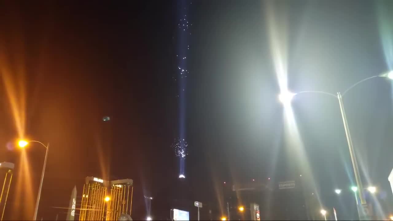live creatures flying over a abandon luxor hotel beam