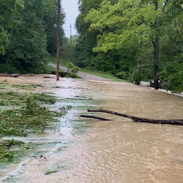 How highs the water Momma