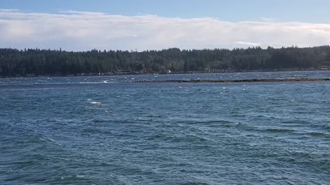 Great waves
