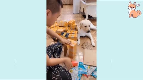 You will laugh at all the DOGS 🤣 Funny DOG Videos 😂🐶(1080p).mp4