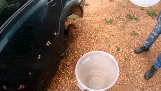 Black Mamba Snake Rescued from Car