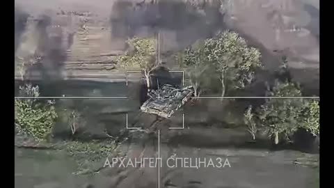 Ukrainian tank was trying to hide behind the bushes