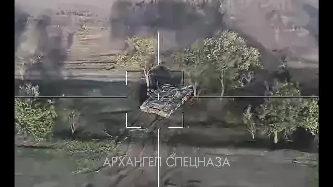 Ukrainian tank was trying to hide behind the bushes