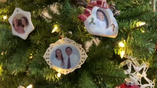 Pomeranians Decorate the Christmas Tree