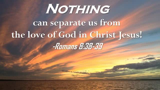 The Lion's Table: Nothing Can Separate You from Christ