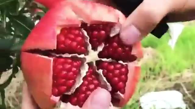 Amazing fruit cutting skills