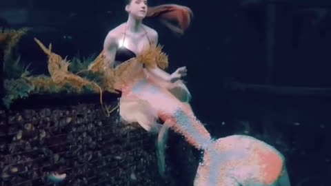 Beautiful Mermaid Celine