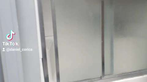 My cats are strange