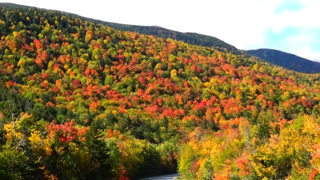 Mountain Foliage