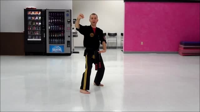 Basic Skillz Orange Belt - Black Stripe