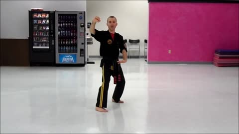 Basic Skillz Orange Belt - Black Stripe