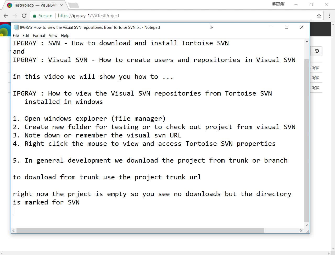 IPGraySpace: How to view the Visual SVN repositories from Tortoise SVN