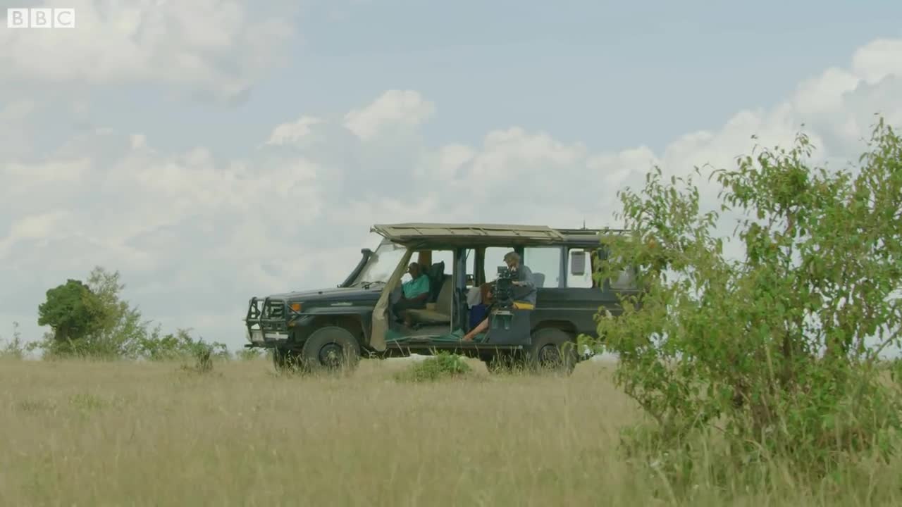 Spotting A Rare Group of 8 Cheetah! | Seven Worlds, One Planet | BBC Earth